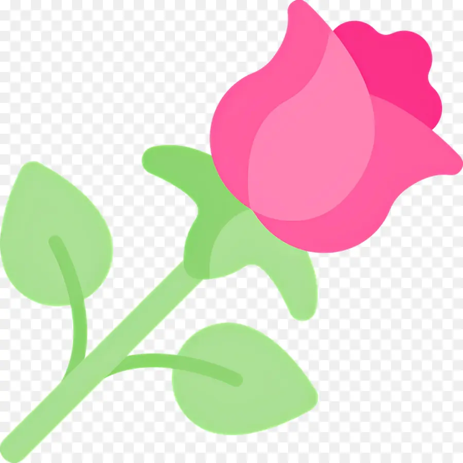 Flor Rosa，Rosa Vermelha PNG