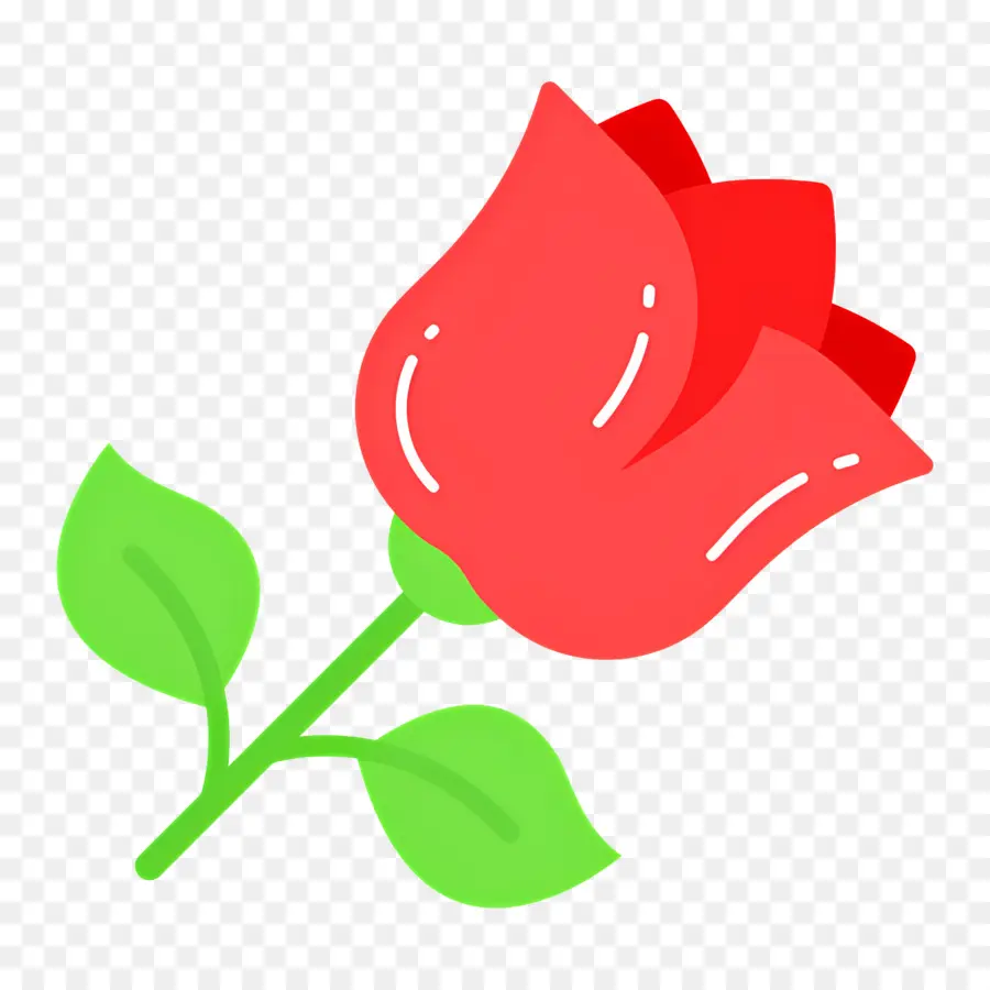 Flor Rosa，Rosa Rosa PNG