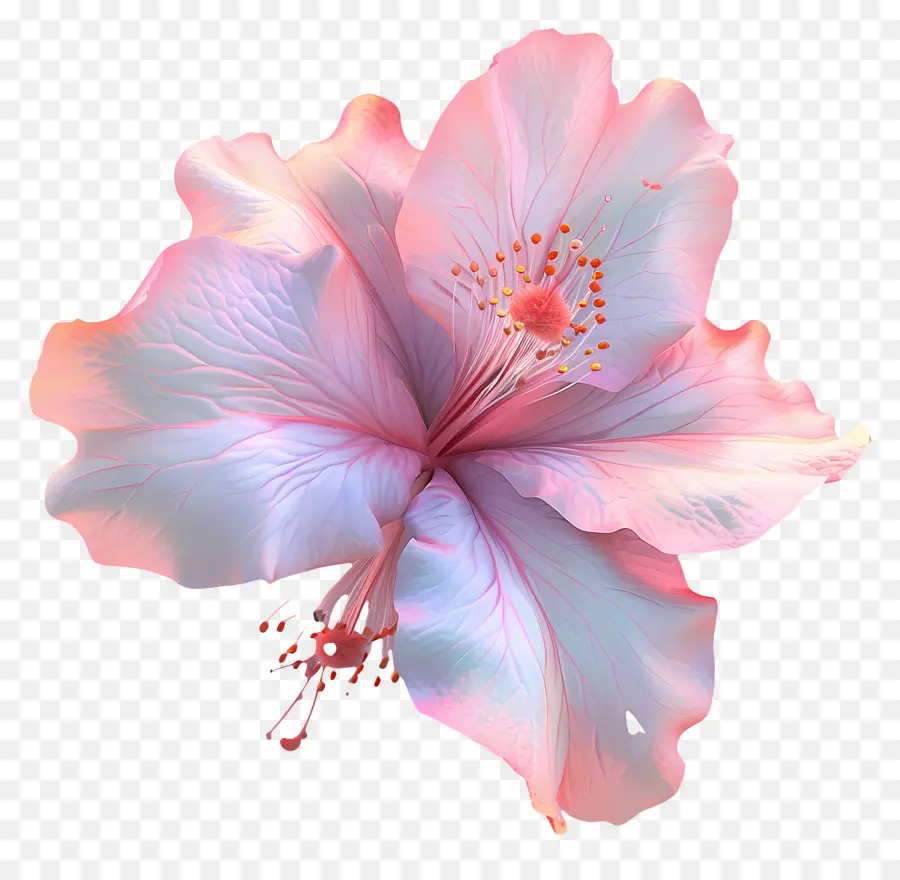 Flor De Azaléia Modelo 3d，Flor Rosa PNG