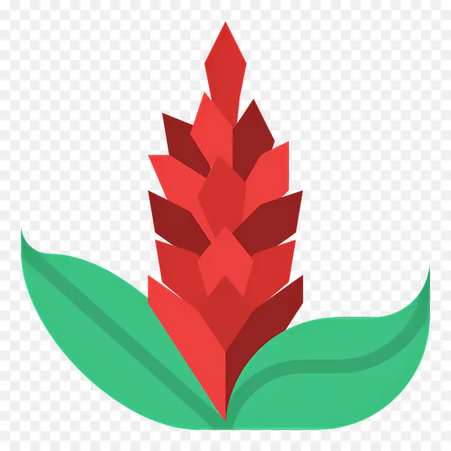 Flor Tropical，Flor Vermelha PNG