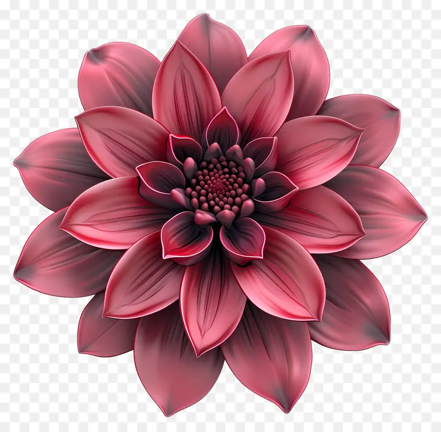 Flor 3d，Flor Rosa PNG