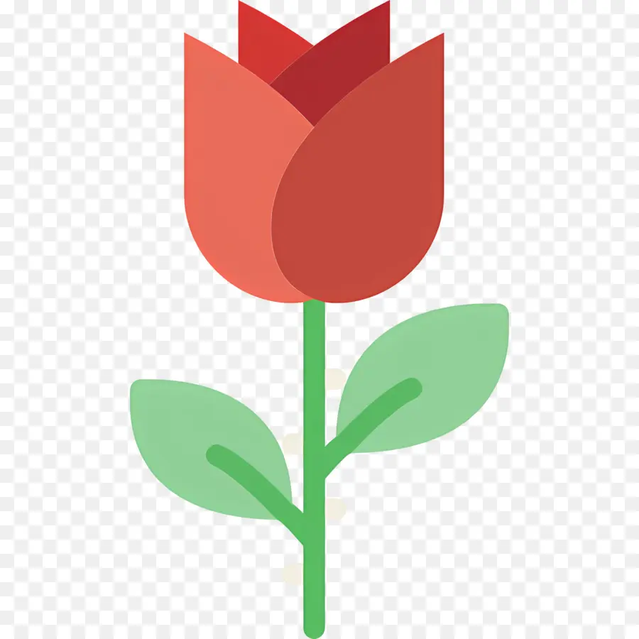 Flor Rosa，Rosa Vermelha PNG