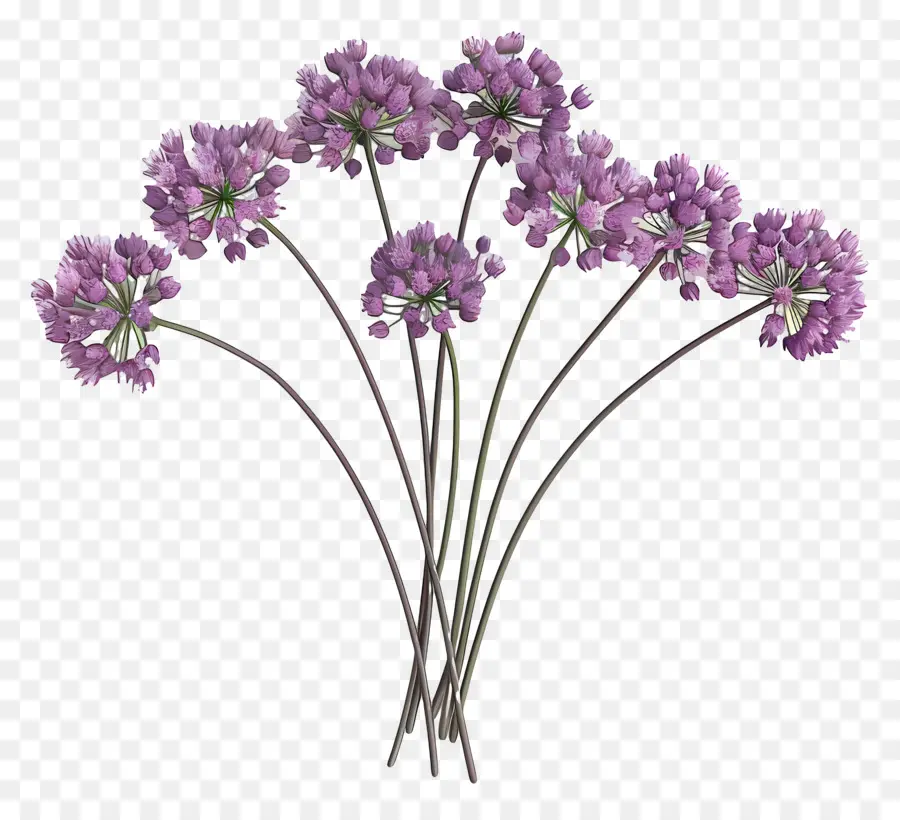 Flor De Allium Modelo 3d，Flores Roxas PNG