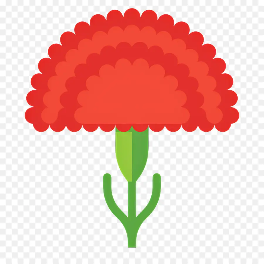 Flor Vermelha，Cravo Vermelho PNG