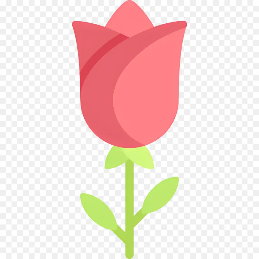 Flor Rosa，Rosa Vermelha PNG