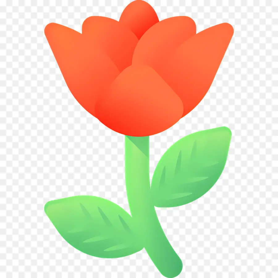 Flor Rosa，Tulipa Vermelha PNG