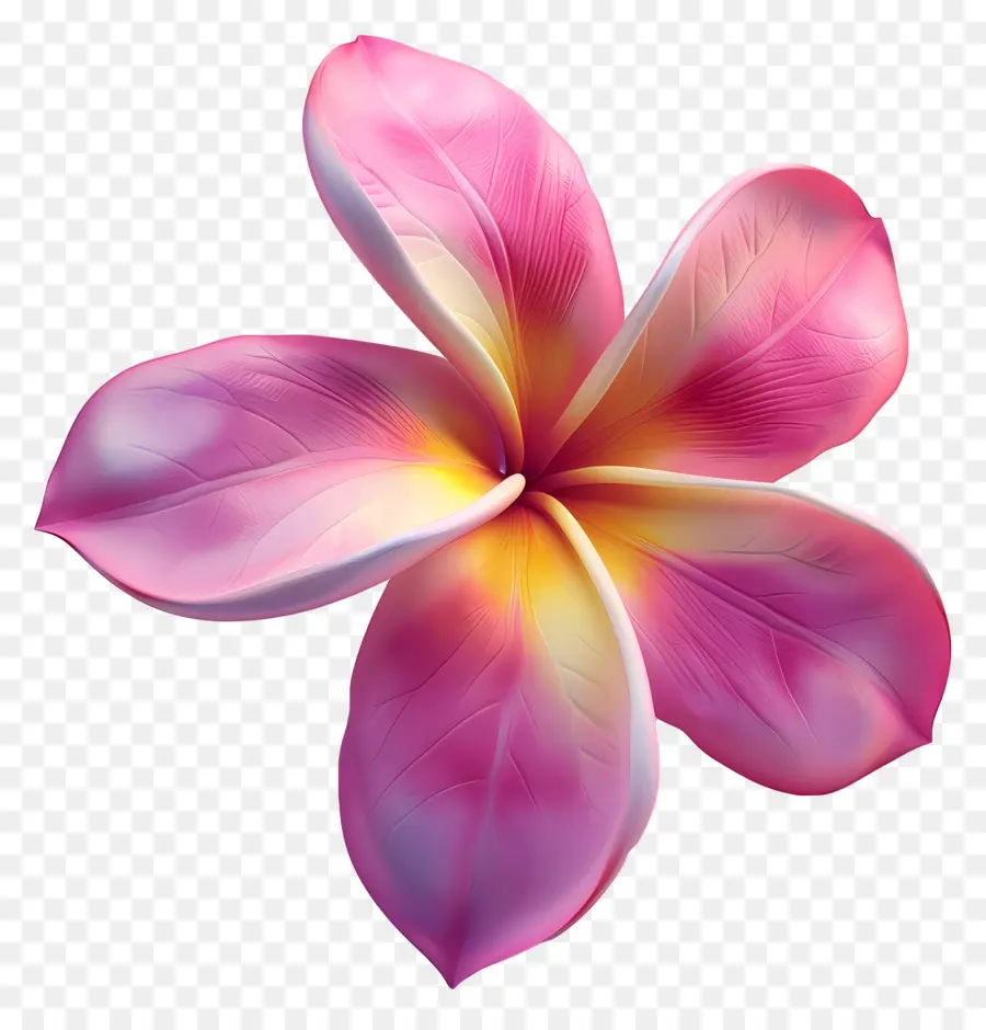 Flor 3d，Flor Colorida PNG