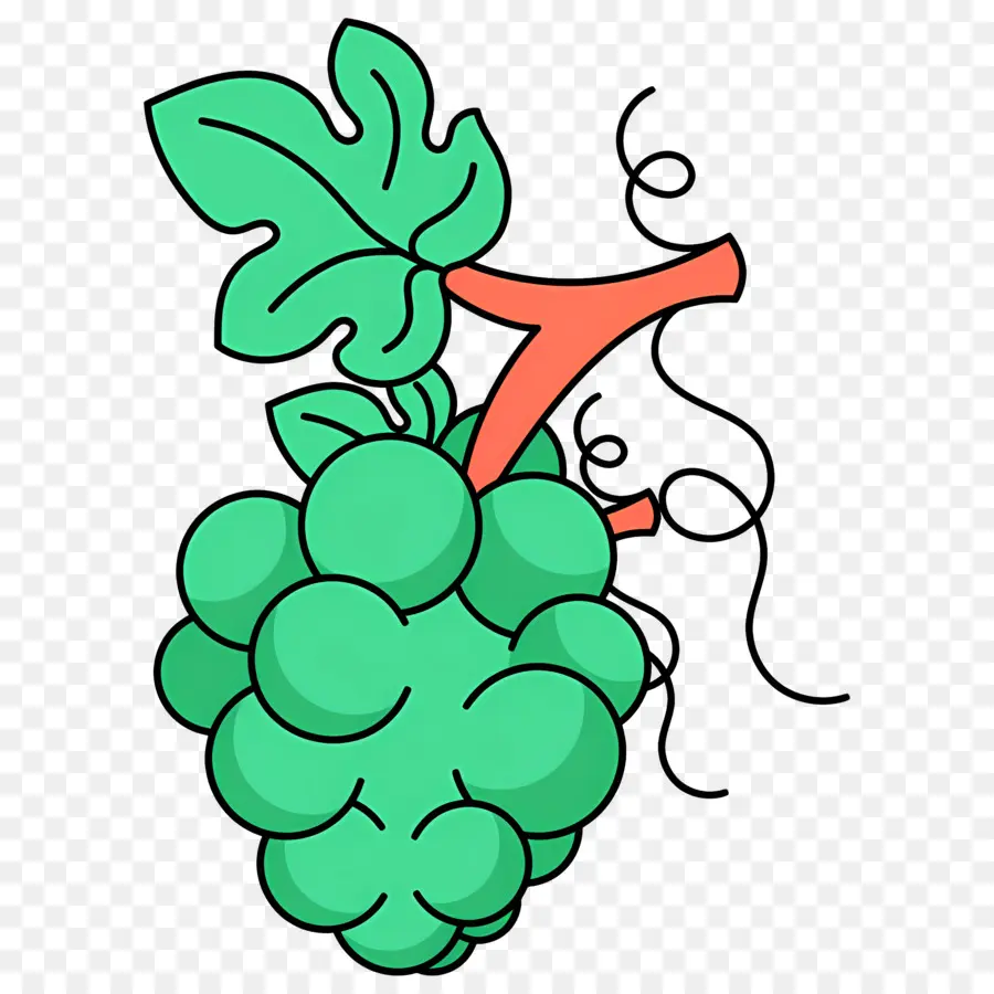 Videira，Uvas Verdes PNG