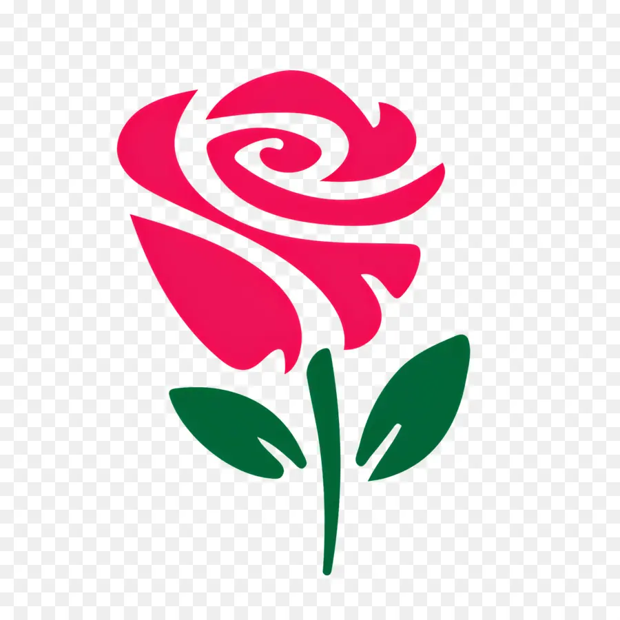 Flor Rosa，Rosa Vermelha PNG