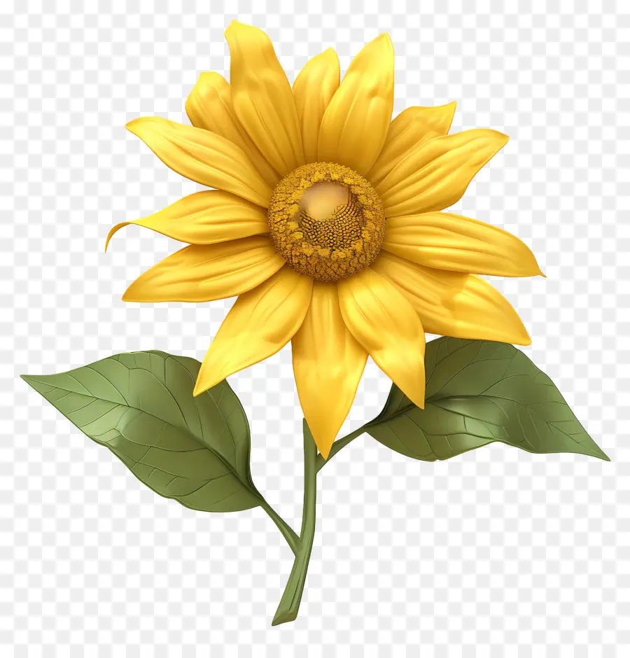 Flor 3d，Girassol PNG