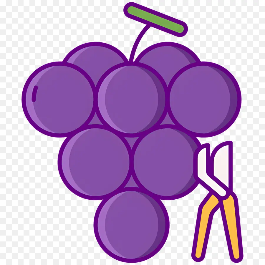 Colheita De Uva，Uvas PNG