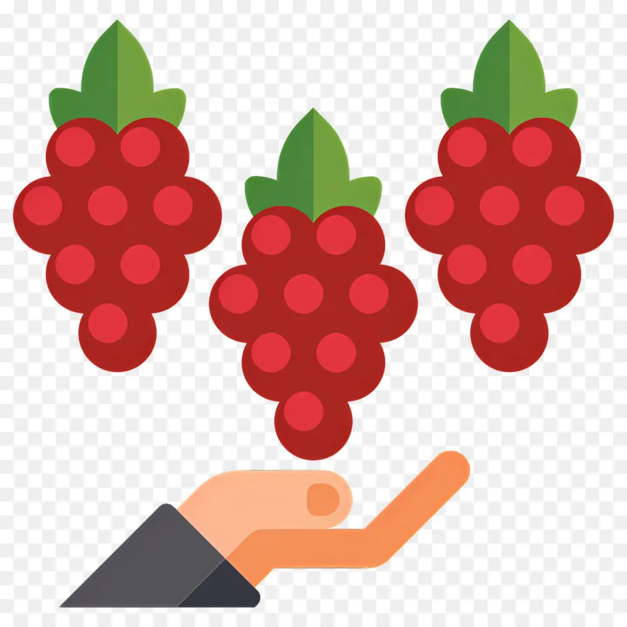 Colheita De Uva，Mão Com Uvas PNG