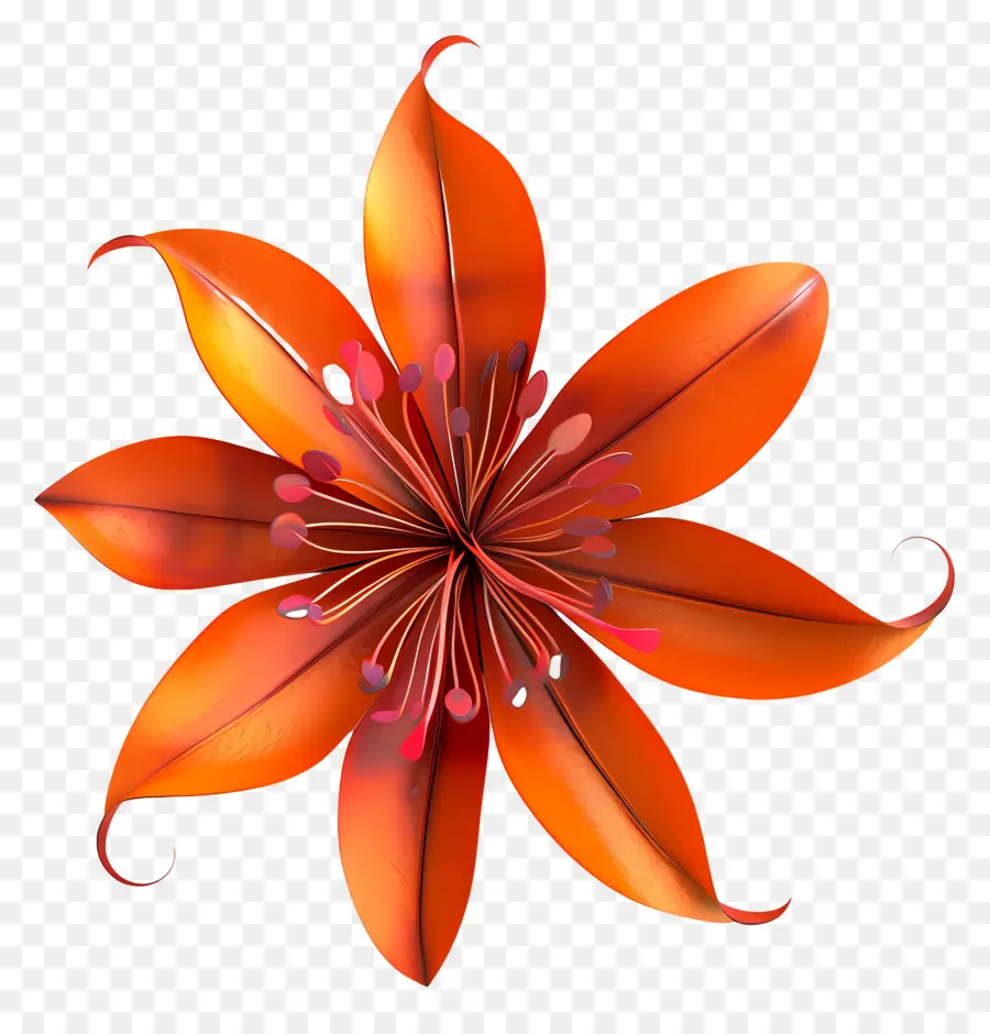 Flor 3d，Flor Laranjeira PNG