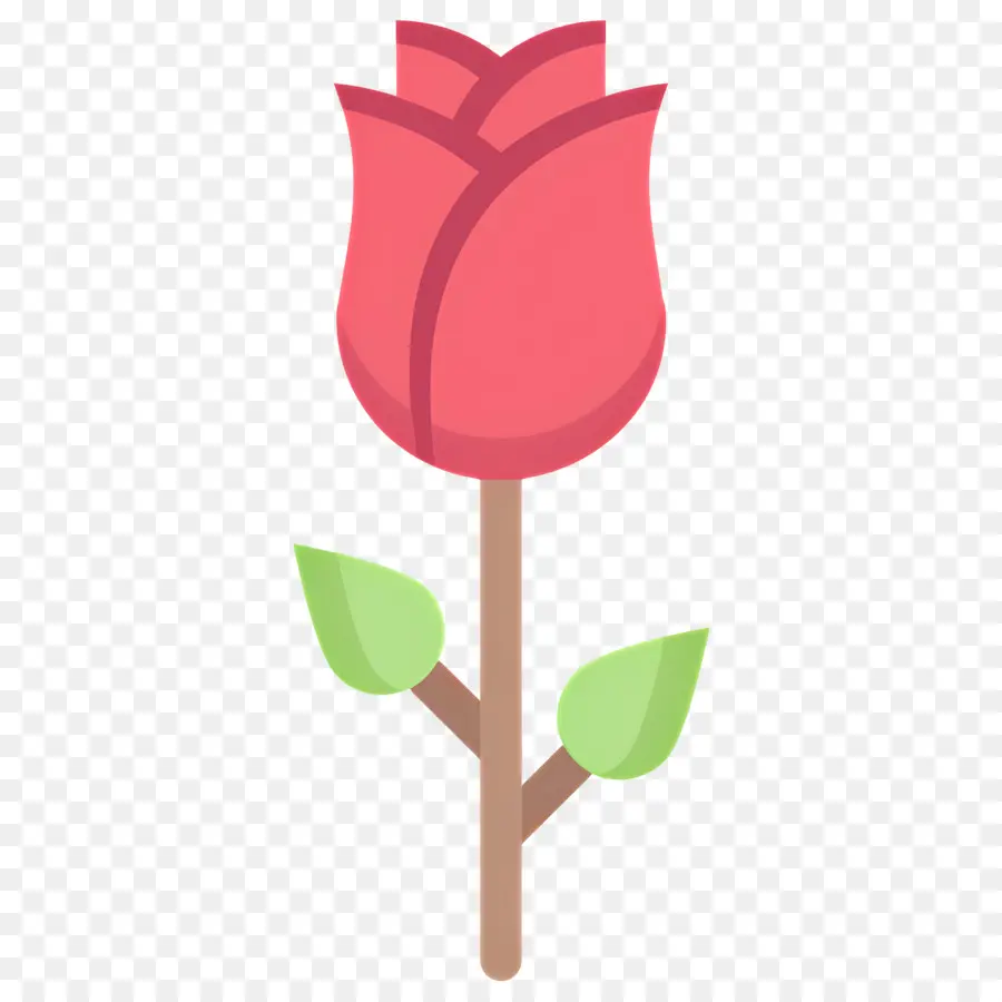 Flor Rosa，Rosa Vermelha PNG