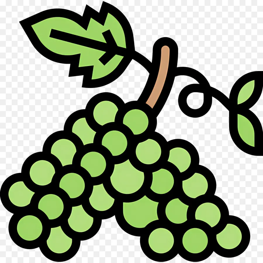 Videira，Uvas Verdes PNG