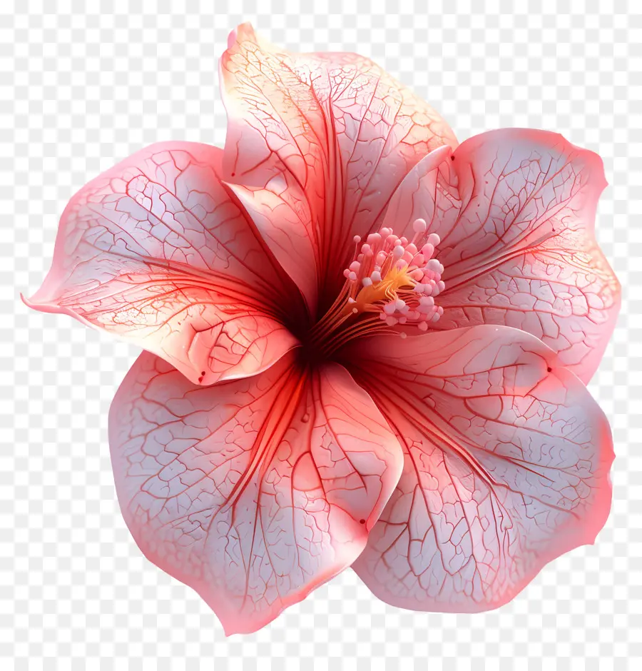 Flor De Azaléia Modelo 3d，Flor De Hibisco PNG