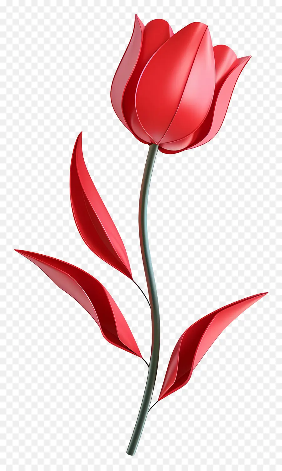 Flor 3d，Tulipas PNG