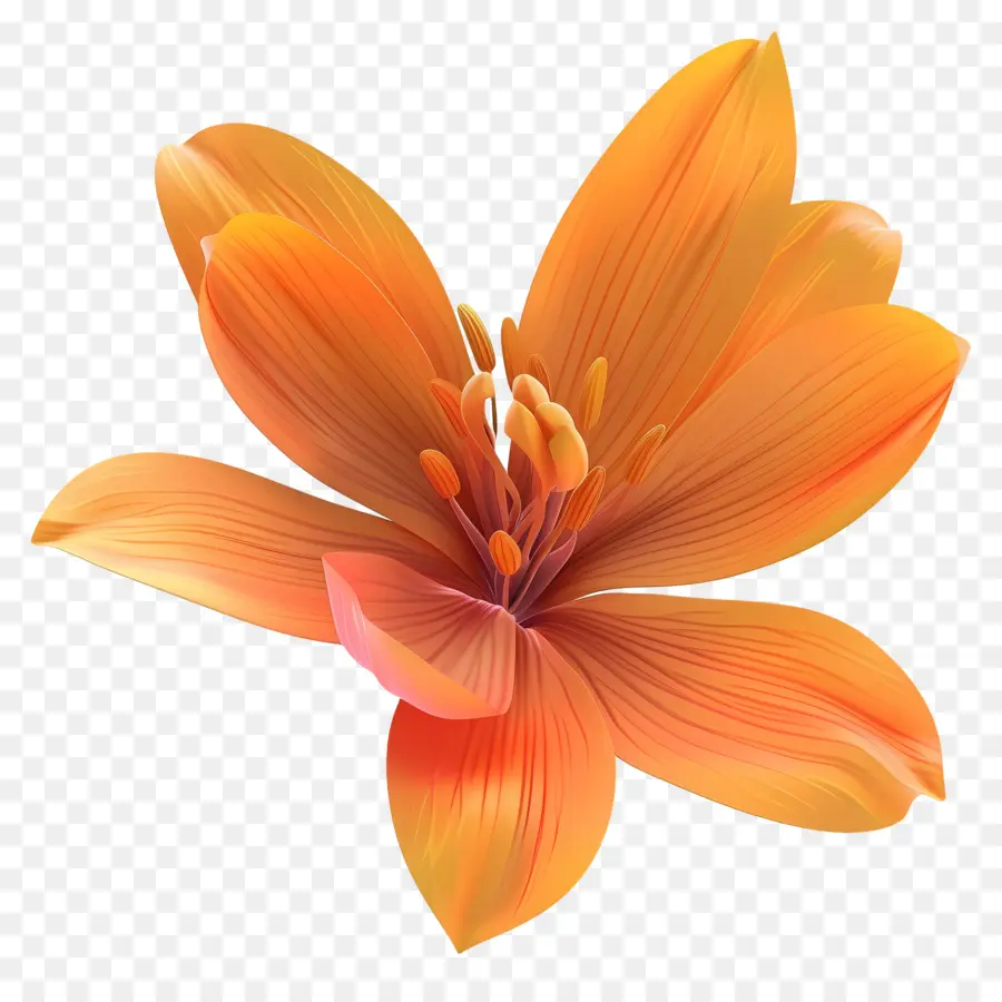 Flor 3d，Flor Laranjeira PNG