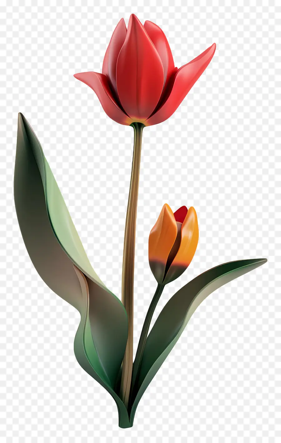 Flor 3d，Tulipa Vermelha PNG