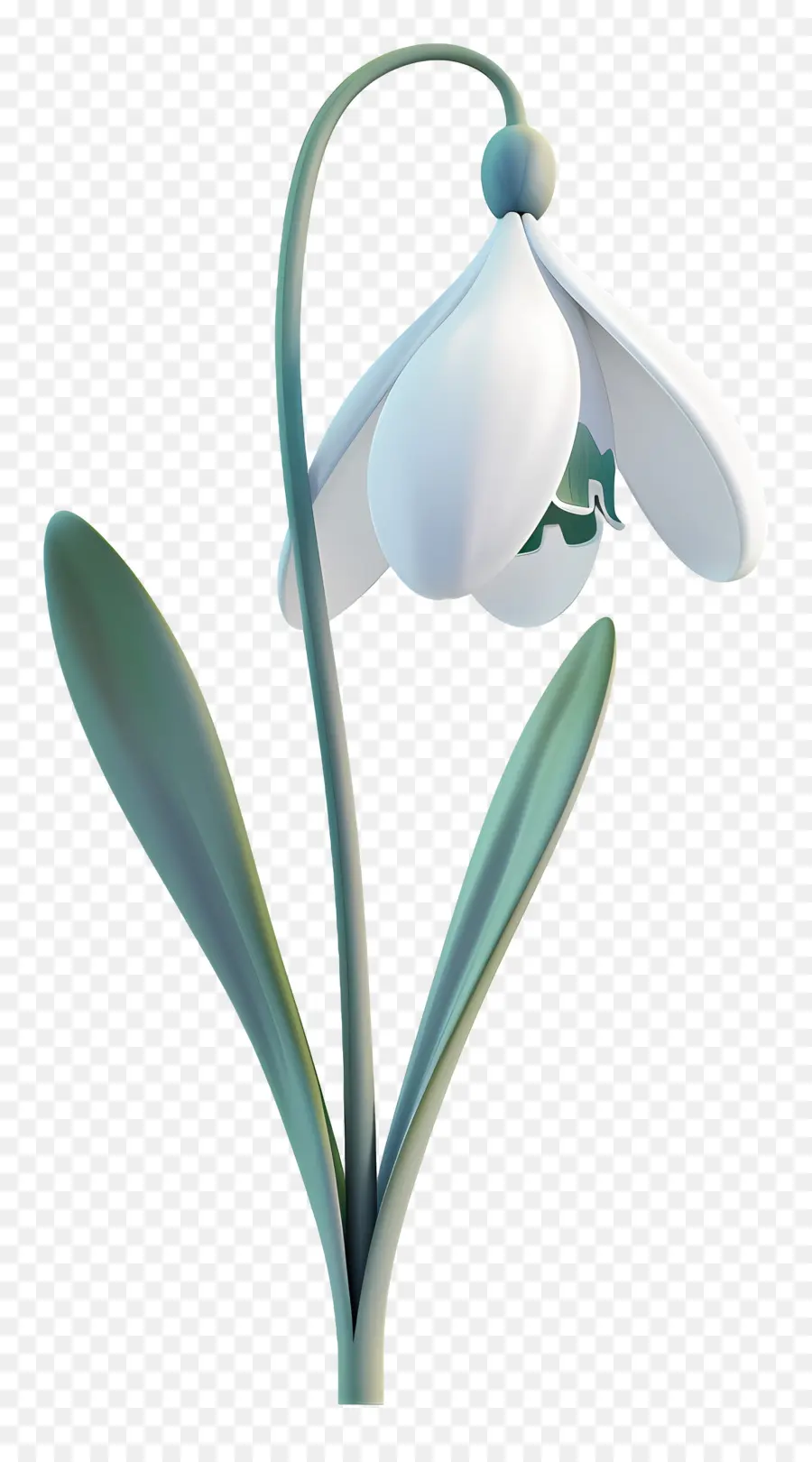 Flor 3d，Flor Floco De Neve PNG