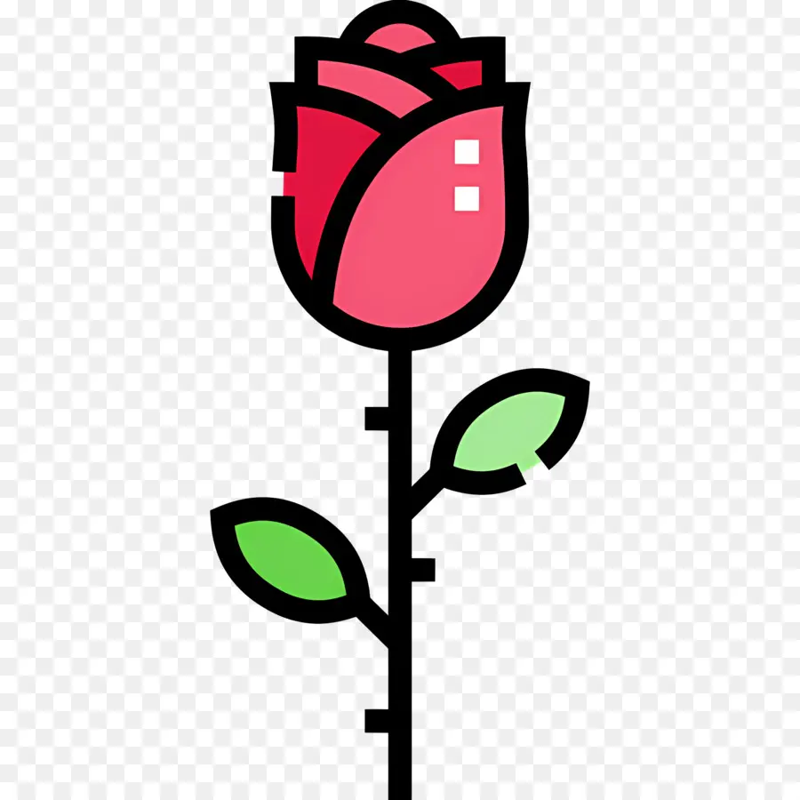 Flor Rosa，Rosa Vermelha PNG