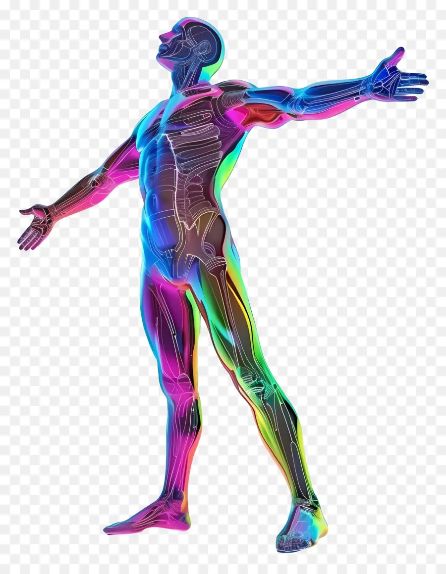 Homem 3d，Anatomia Humana PNG