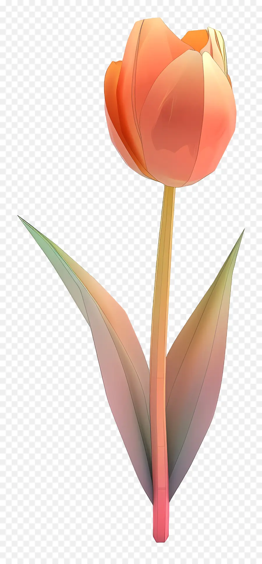 Flor 3d，Tulipa Rosa PNG