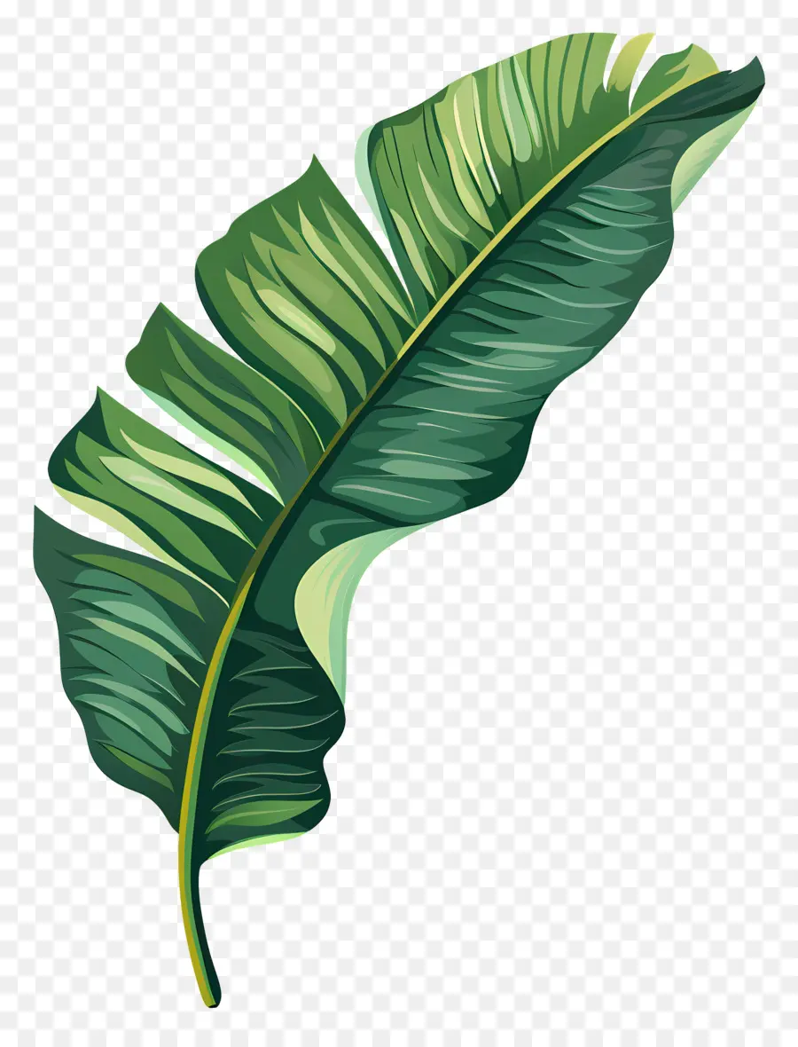 Folha De Bananeira，Folha Verde PNG