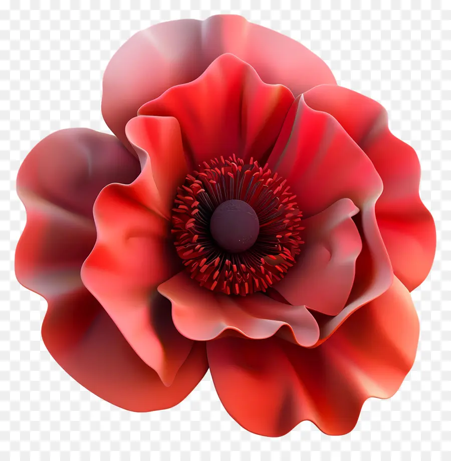 Flor 3d，Flor Vermelha PNG