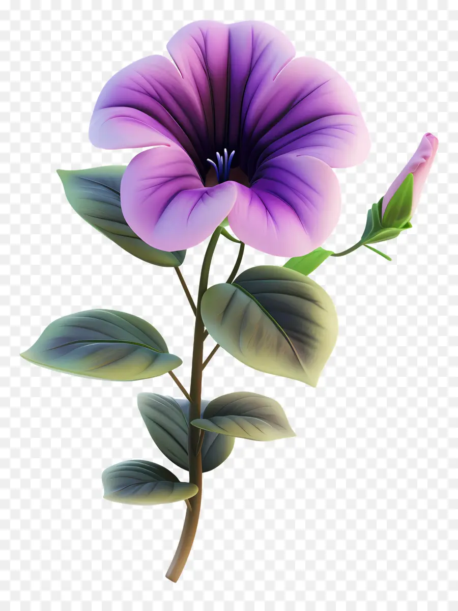 Flor 3d，Flor Roxa PNG