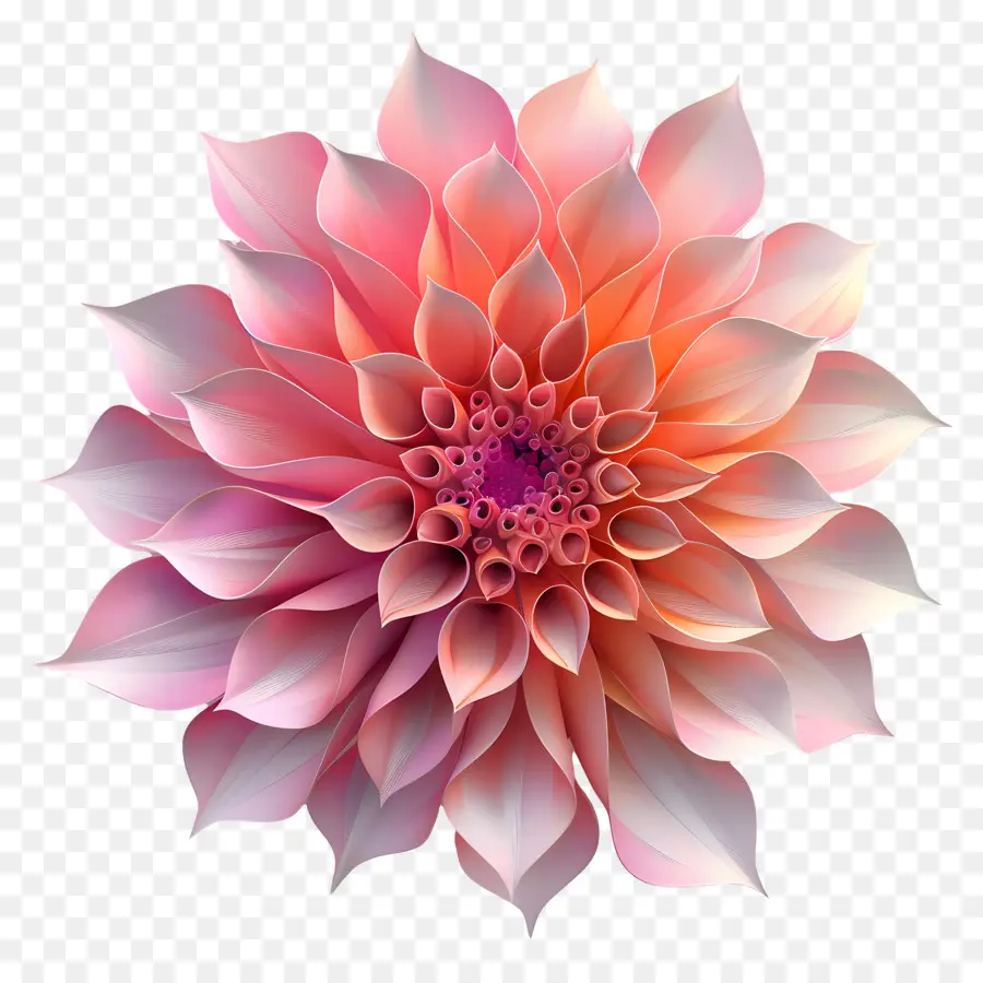 Flor 3d，Flor PNG