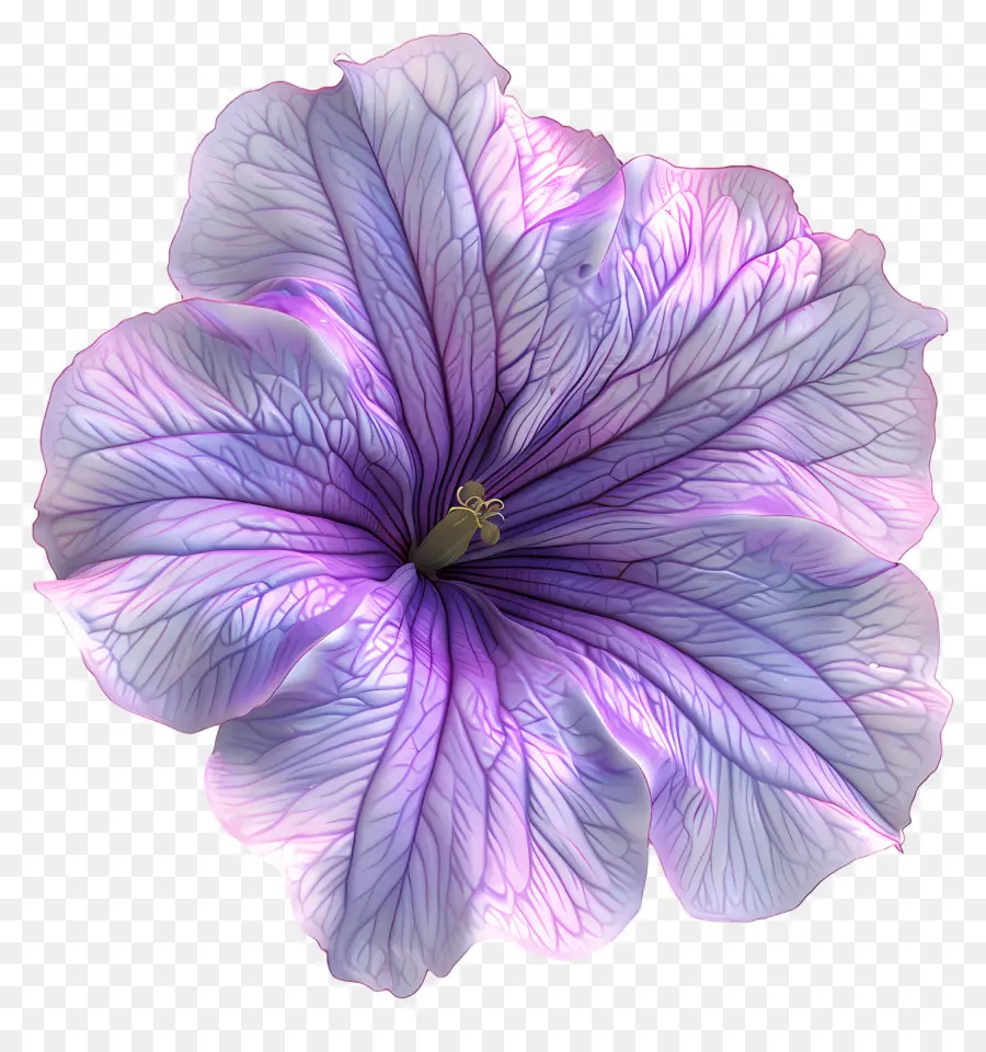 Flor 3d，Flor Roxa PNG