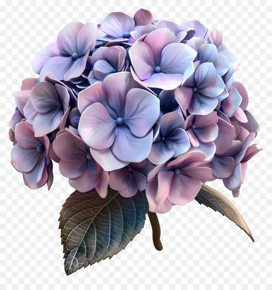 Flor 3d，Hortênsia PNG