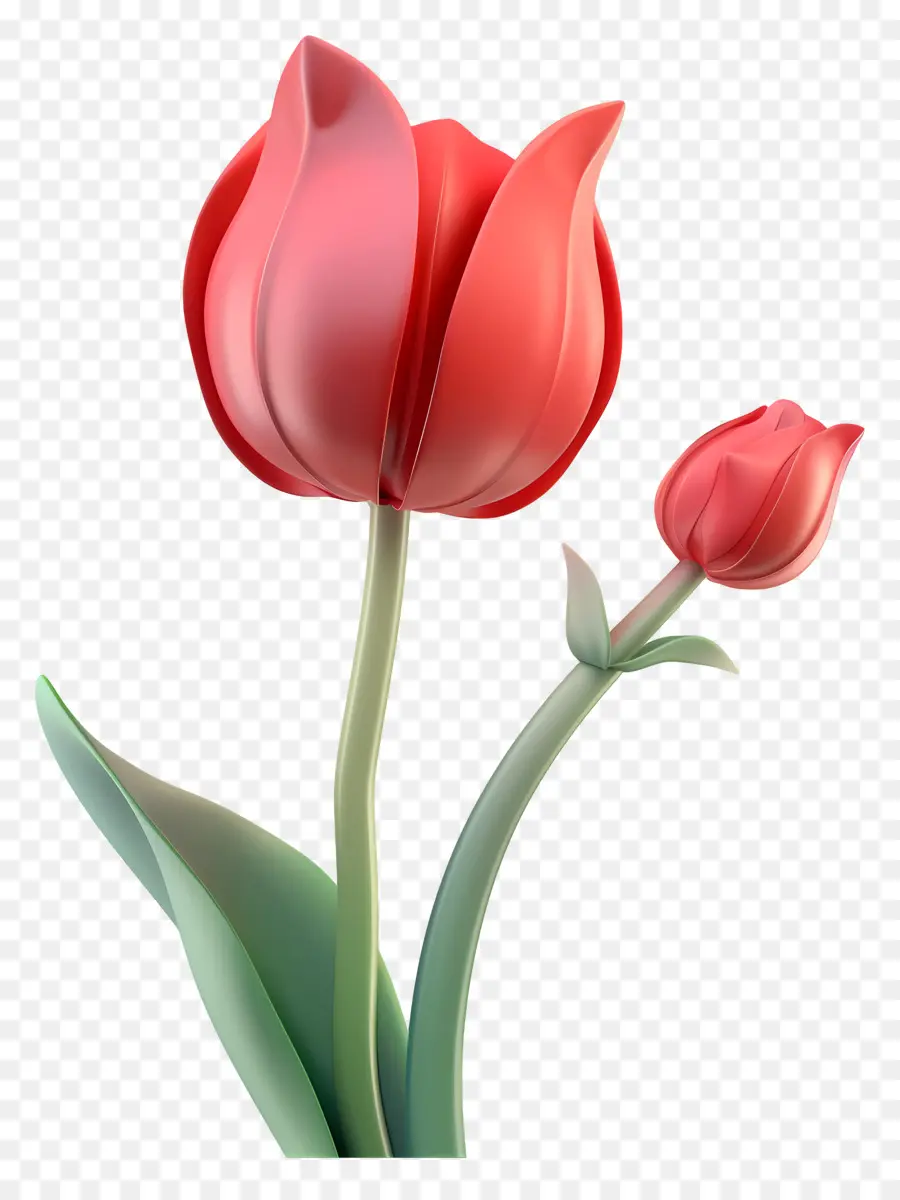 Flor 3d，Flor Vermelha PNG