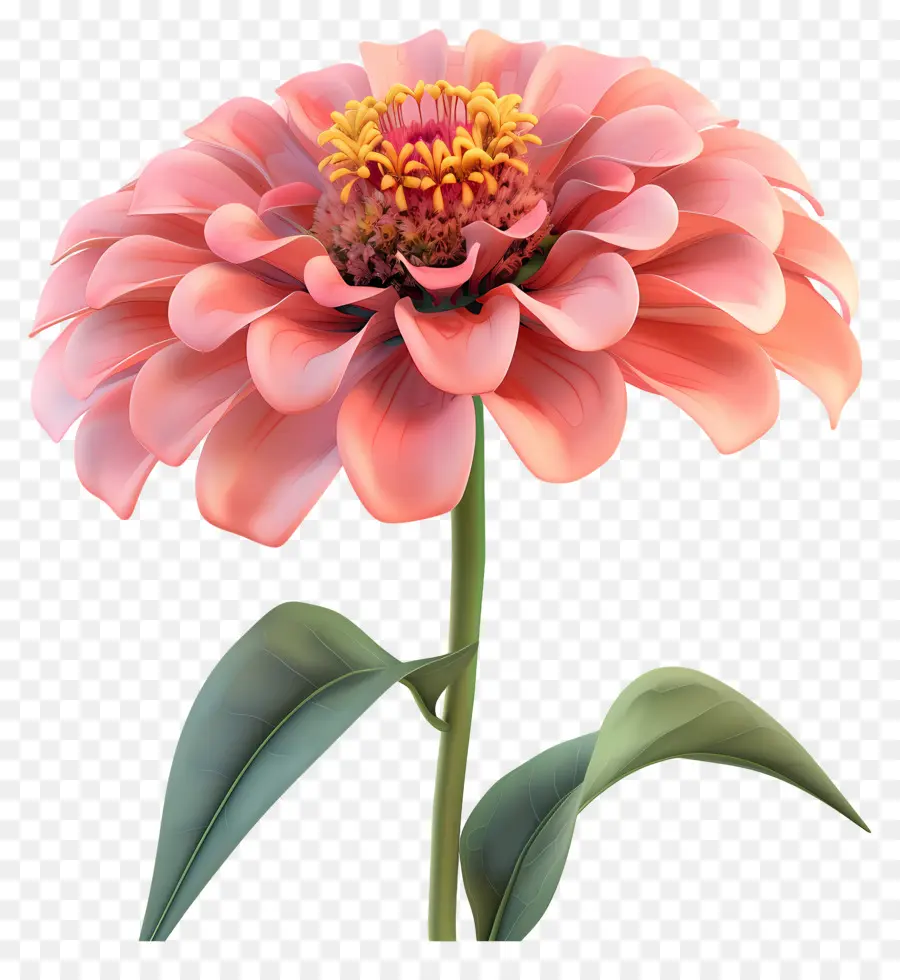 Flor 3d，Flor Vermelha PNG