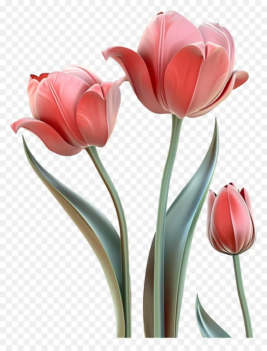 Flor 3d，Tulipas Rosa PNG