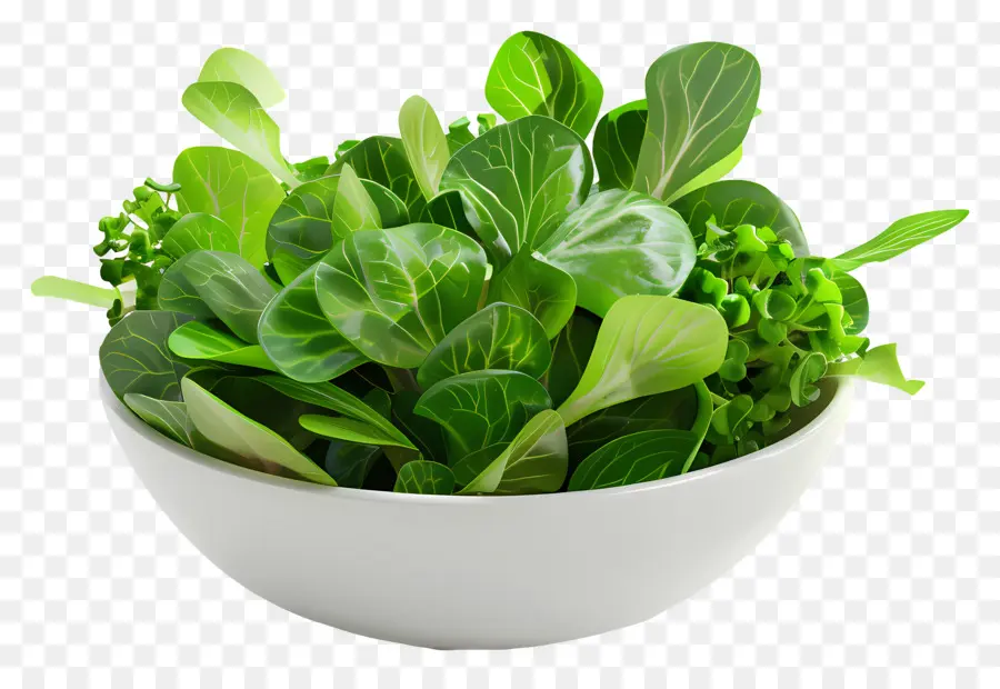 Salada Verde，Folhas Verdes PNG