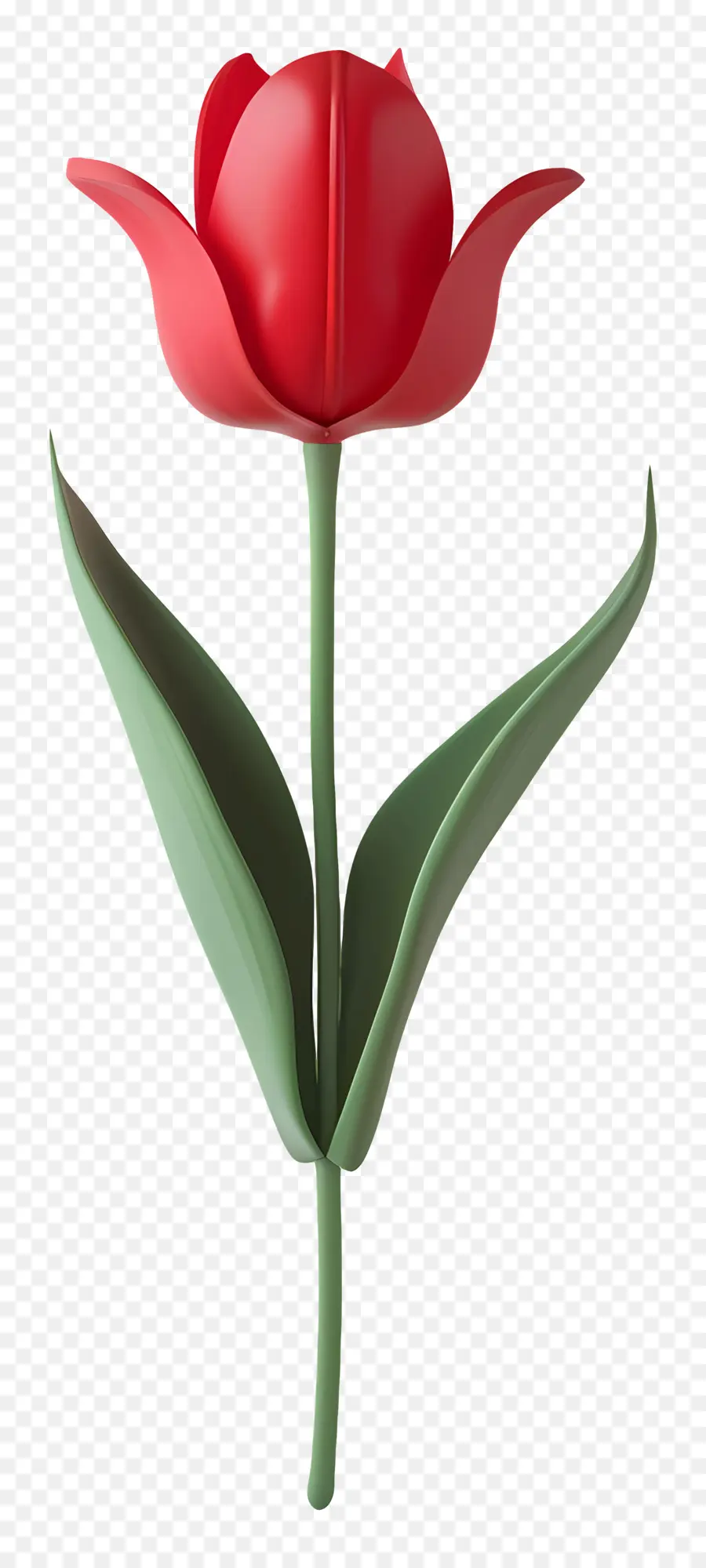 Flor 3d，Tulipa Rosa PNG