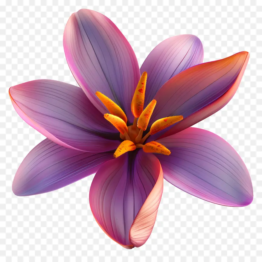 Flor 3d，Flor Roxa PNG