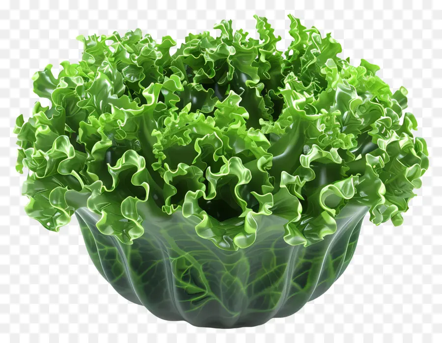 Salada Verde，Alface Verde PNG