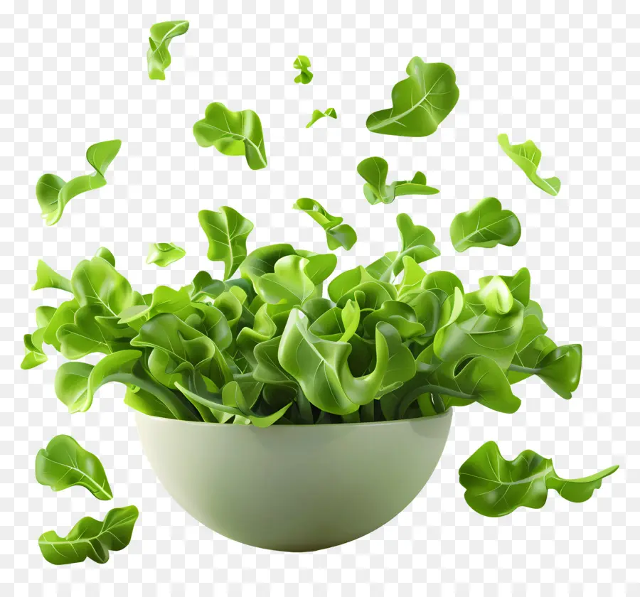 Salada Verde，Folhas Verdes PNG