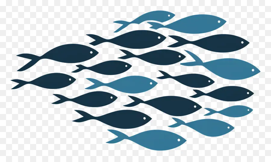 Grupo De Peixes，Peixe Azul PNG