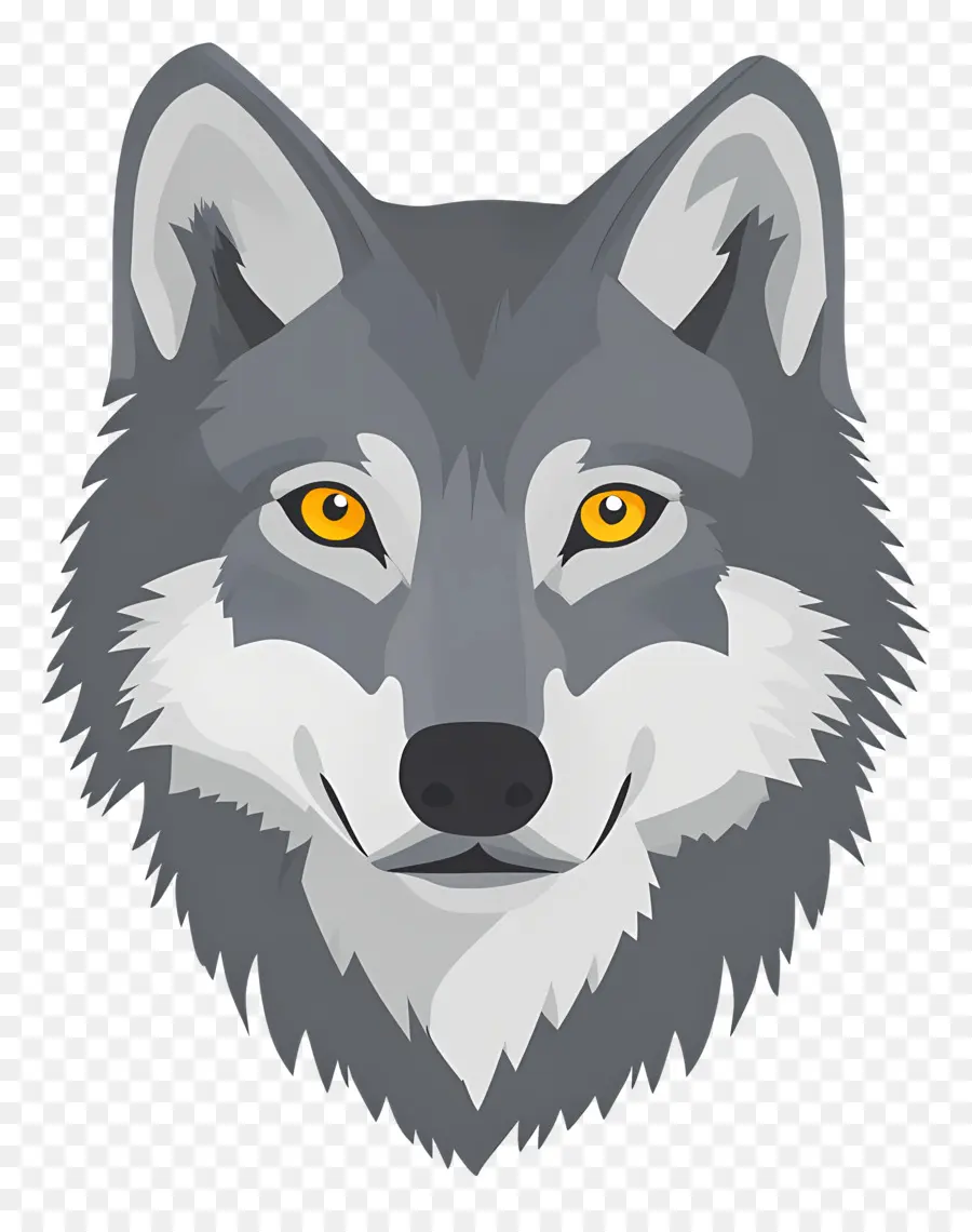 Cabeça De Lobo，Cara De Lobo PNG