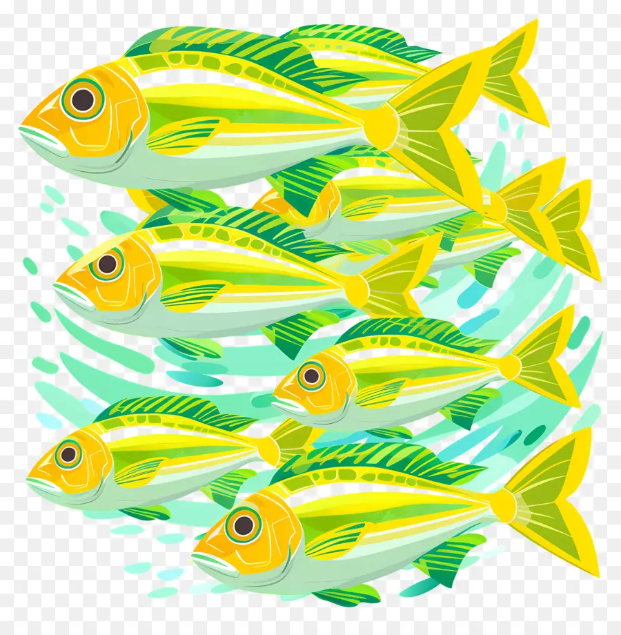 Grupo De Peixes，Peixe Colorido PNG