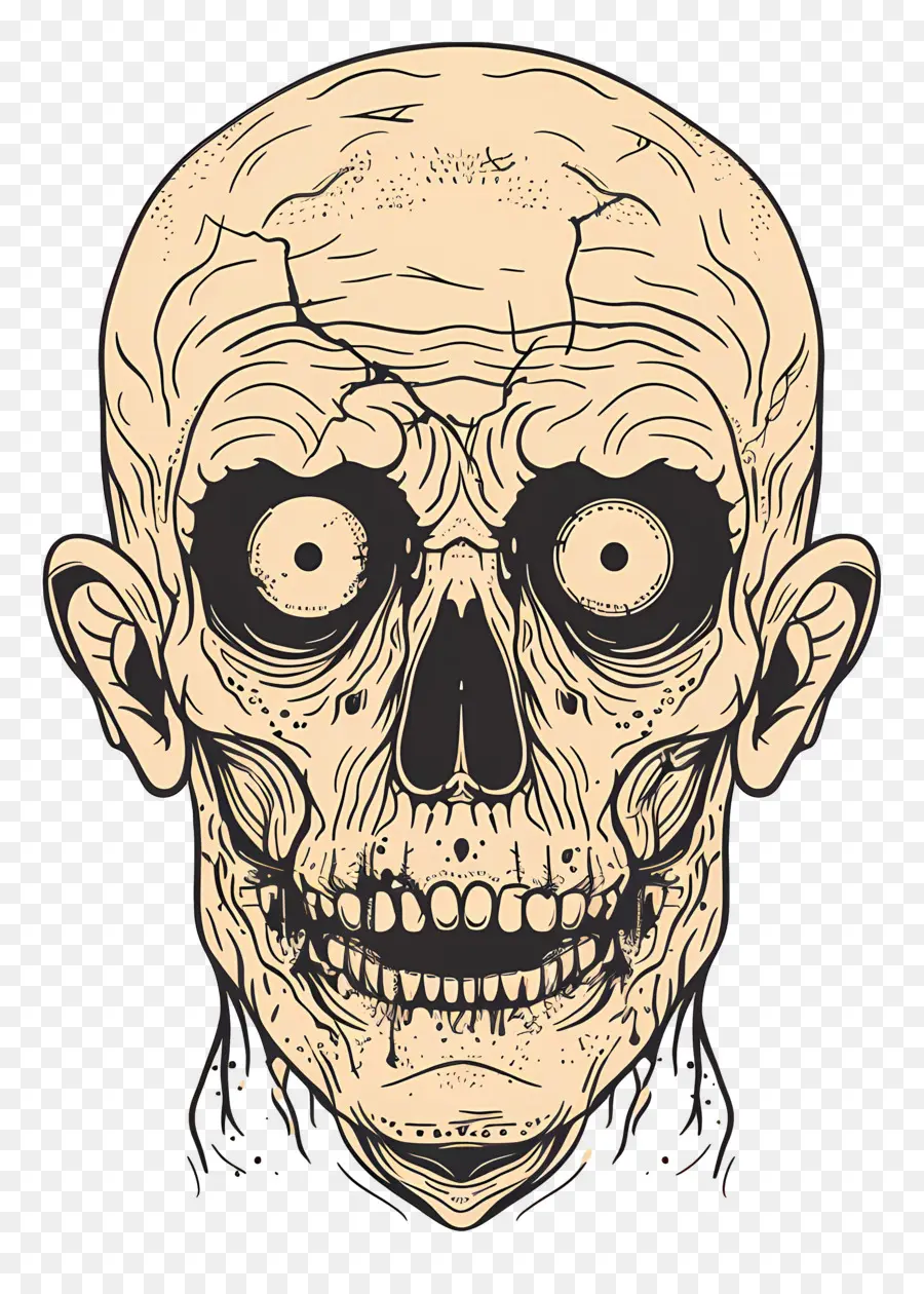 Cabeça De Zumbi，Crânio Zumbi PNG