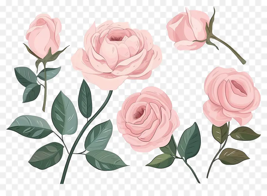 Rosas Cor De Rosa，Arranjo Floral PNG