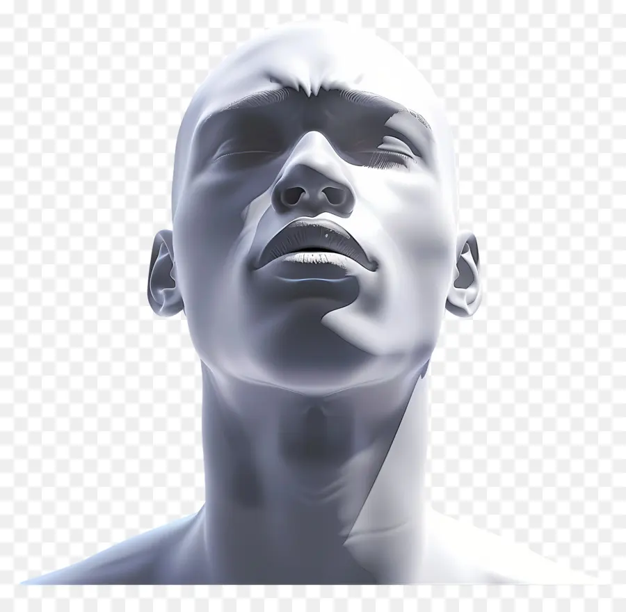 Cara De Homem，Escultura De Cabeça 3d PNG