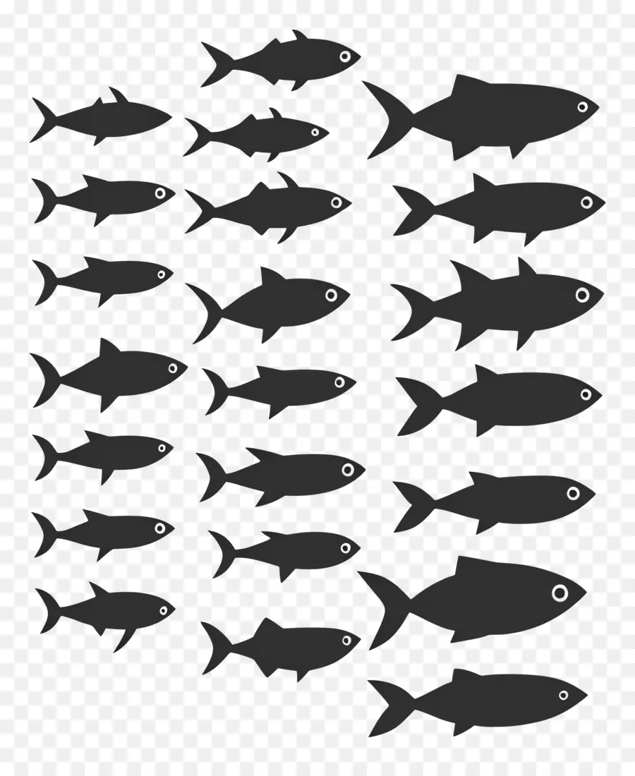 Grupo De Peixes，Silhuetas De Peixes PNG