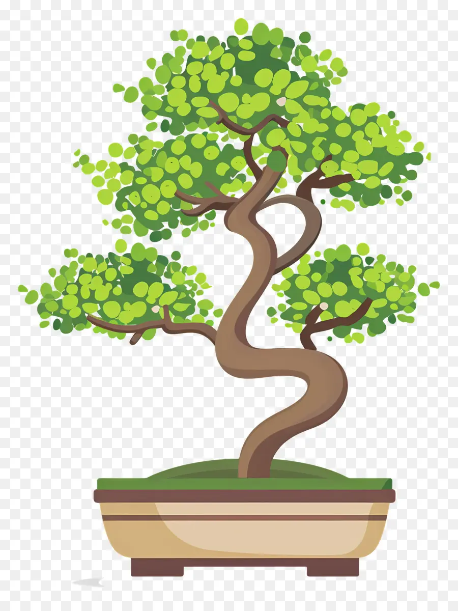 árvore Bonsai，Árvore Bonsai PNG