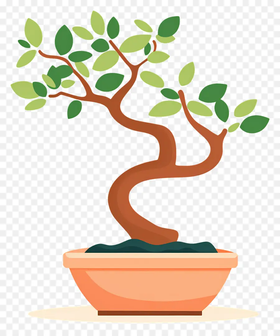 árvore Bonsai，Árvore Bonsai PNG